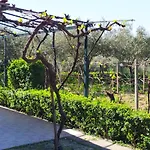 펜션 Il Vigneto 