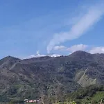 Il Vigneto 