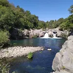 Il Vigneto 