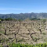 Il Vigneto 