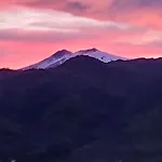 Il Vigneto 