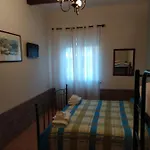 Il Vigneto 