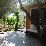 Vakantiehuis Il Vigneto 