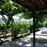 Il Vigneto 