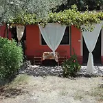 Il Vigneto 