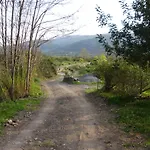 Il Vigneto 