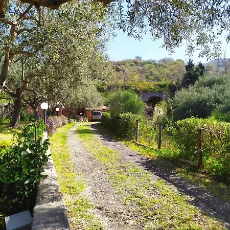 Il Vigneto 