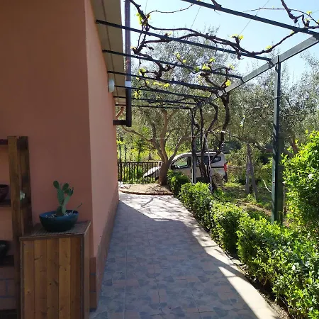 Dom wakacyjny Il Vigneto 