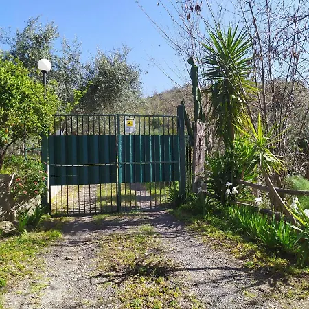Il Vigneto 