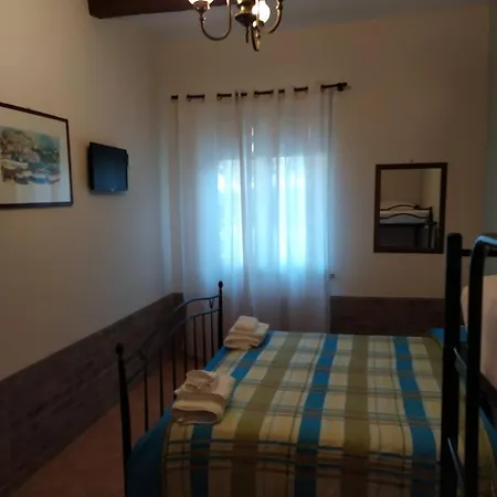 Il Vigneto 
