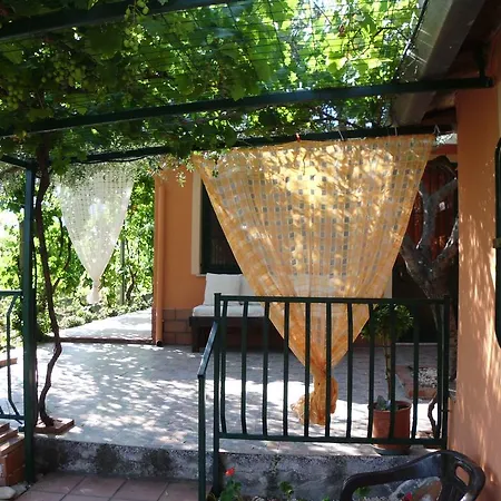 Il Vigneto 