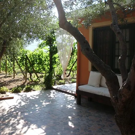 Vakantiehuis Il Vigneto 