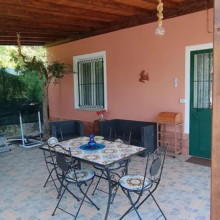Il Vigneto 