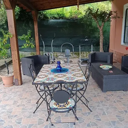 Il Vigneto 