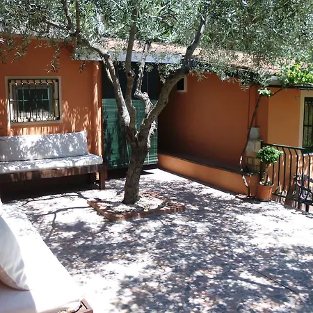 Il Vigneto 