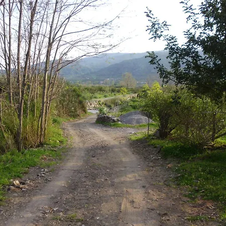 Il Vigneto 