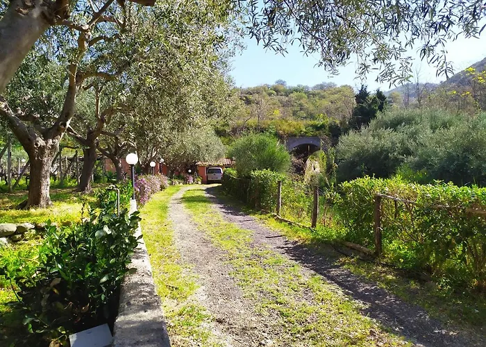 Il Vigneto 