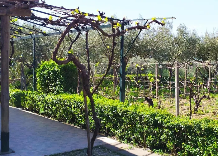 Vakantiehuis Il Vigneto 
