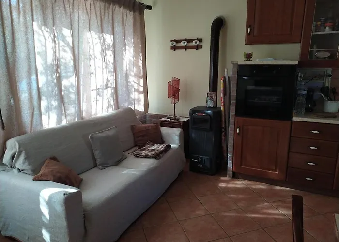 Il Vigneto 