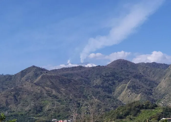 Il Vigneto 