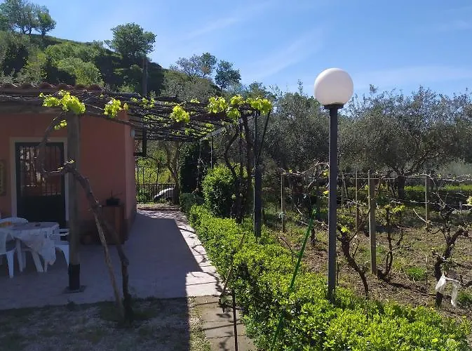 Il Vigneto 