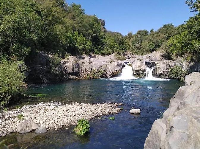 Il Vigneto 