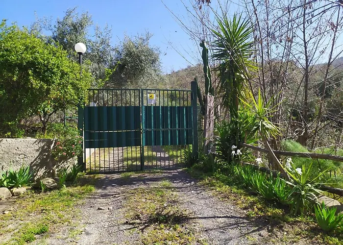 Il Vigneto 