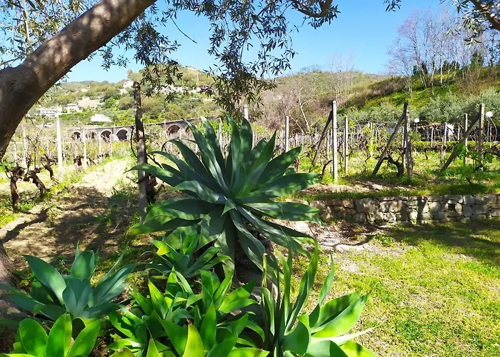 Vakantiehuis Il Vigneto 