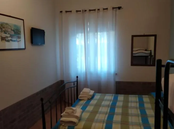 Il Vigneto 