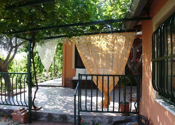 Il Vigneto 