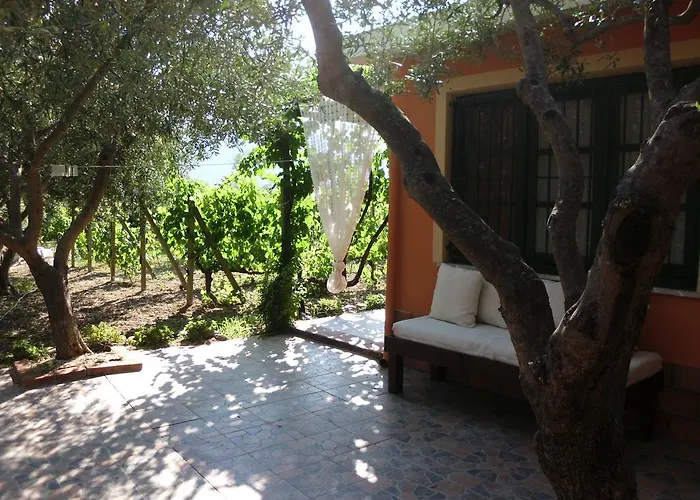 Vakantiehuis Il Vigneto 