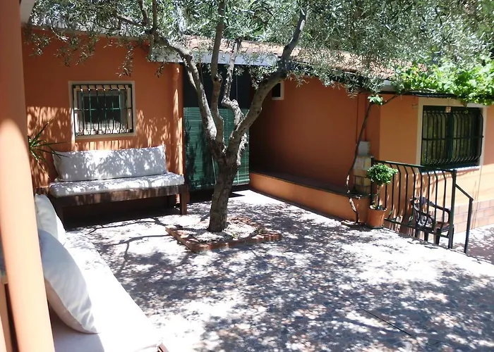Il Vigneto 
