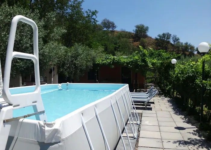 Il Vigneto 