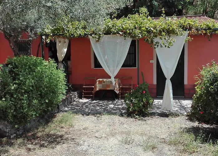 Il Vigneto 