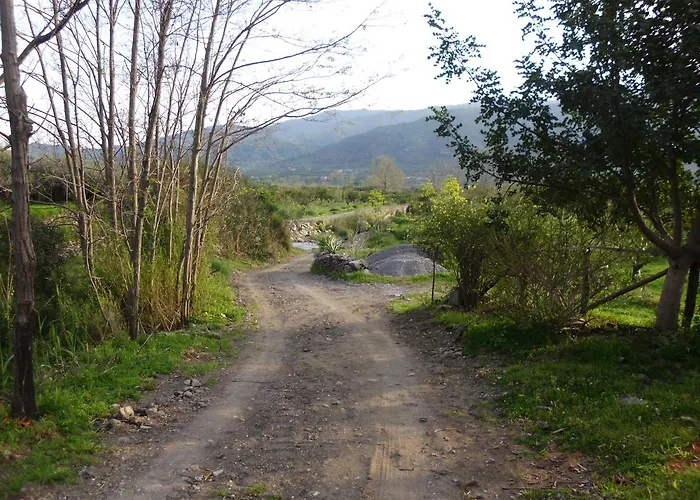 Il Vigneto 